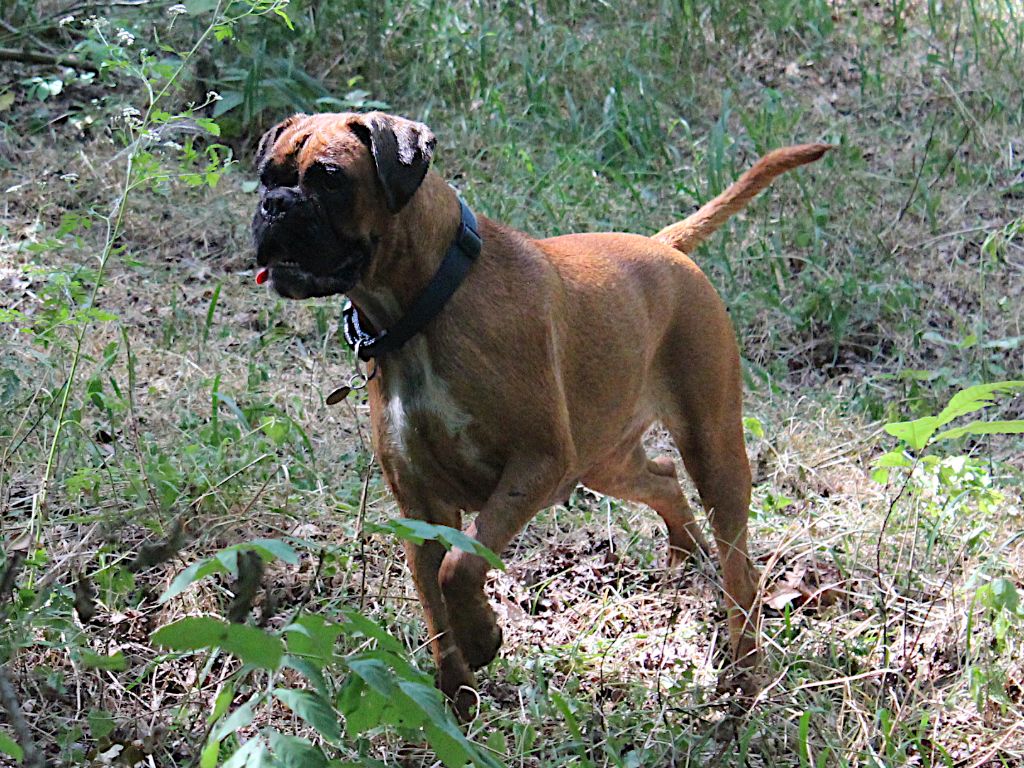 Naïade de Bellemanie