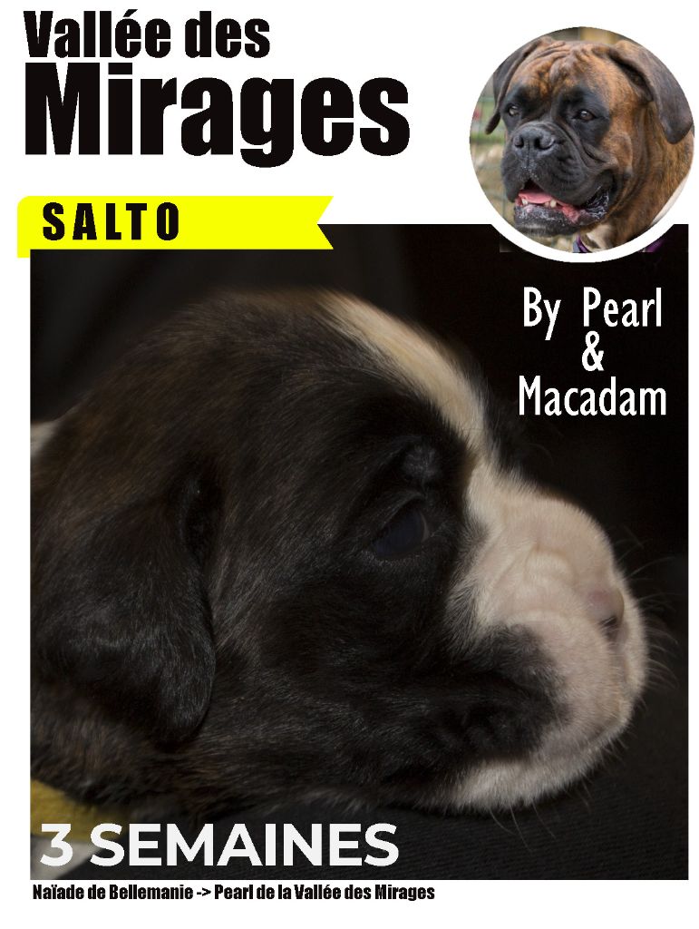 Pearl & Macadam 2